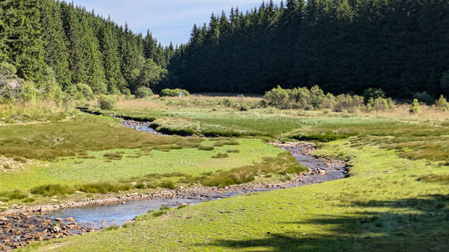 Parc régional du Livradois Forez
